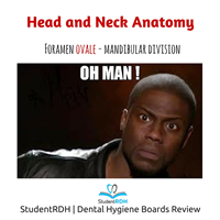 Which foramen is the opening for the mandibular division of the trigeminal nerve?