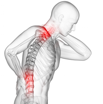 Poor Ergonomics to Blame for Neck and Back Pain among Dentists